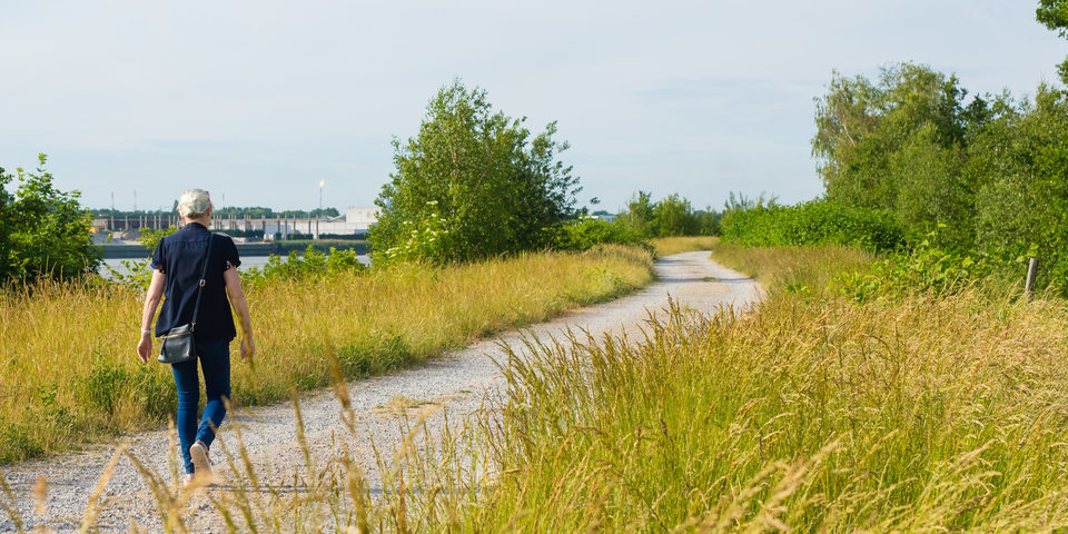 Vrouw die wandelt over de dijk aan de Schelde